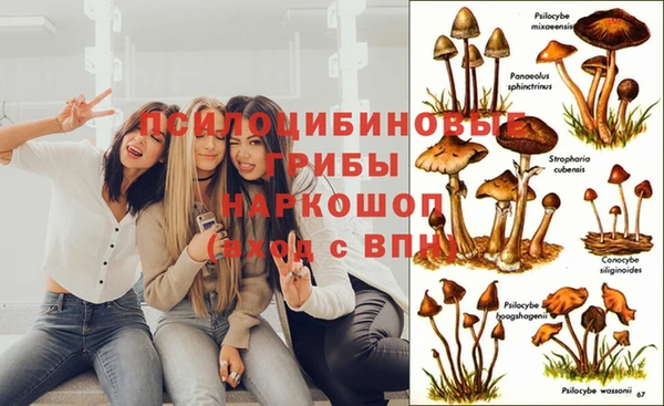 кокаин перу Белокуриха