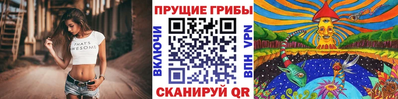 купить закладку  Ворсма  Псилоцибиновые грибы Psilocybine cubensis 